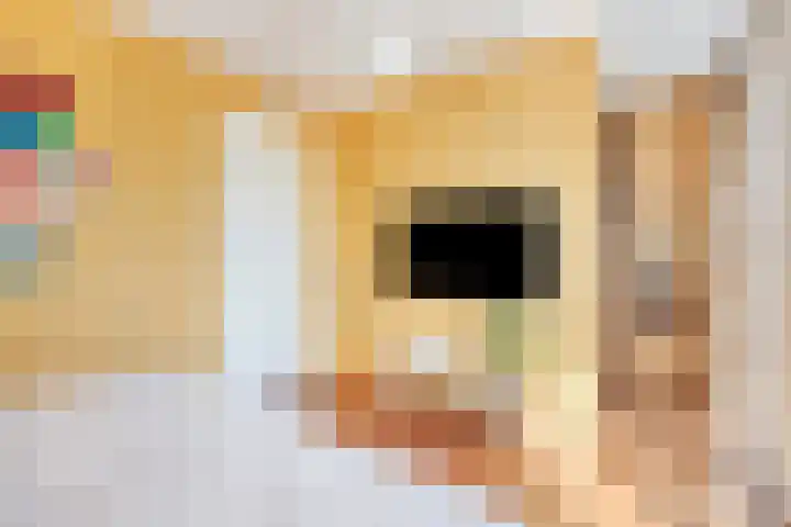 Vredemaker 22 Zwaag thumbnail 33