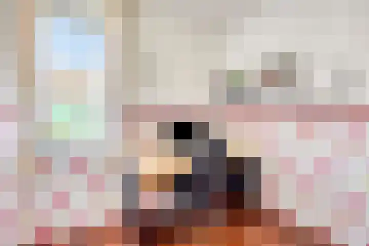 Vredemaker 22 Zwaag thumbnail 37