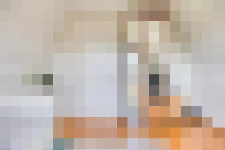 Vredemaker 22 Zwaag thumbnail 48