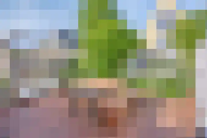 Vredemaker 22 Zwaag thumbnail 5