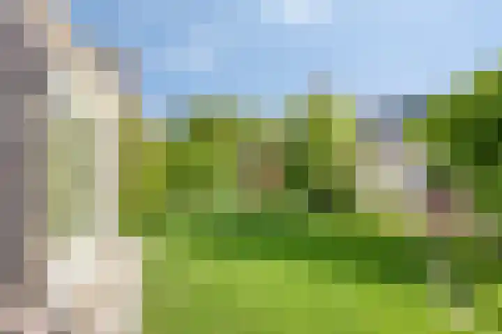 Vredemaker 22 Zwaag thumbnail 52