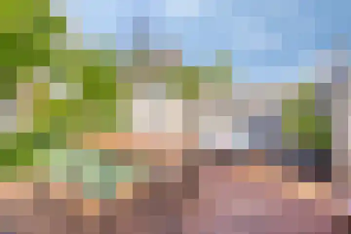 Vredemaker 22 Zwaag thumbnail 54
