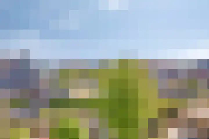 Vredemaker 22 Zwaag thumbnail 63