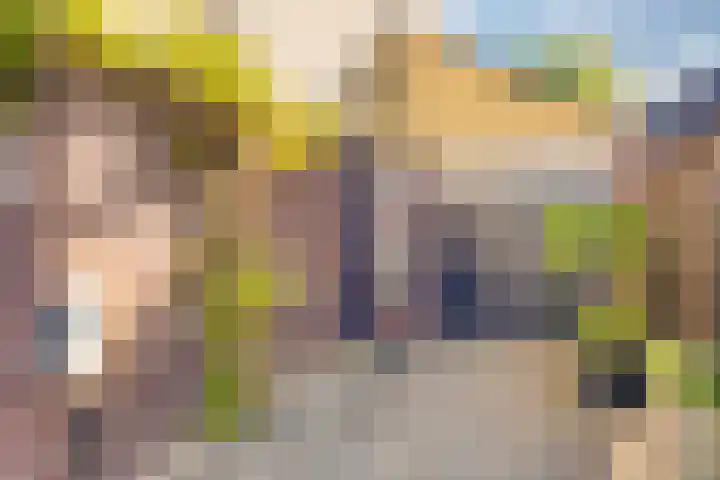 Vredemaker 22 Zwaag thumbnail 7