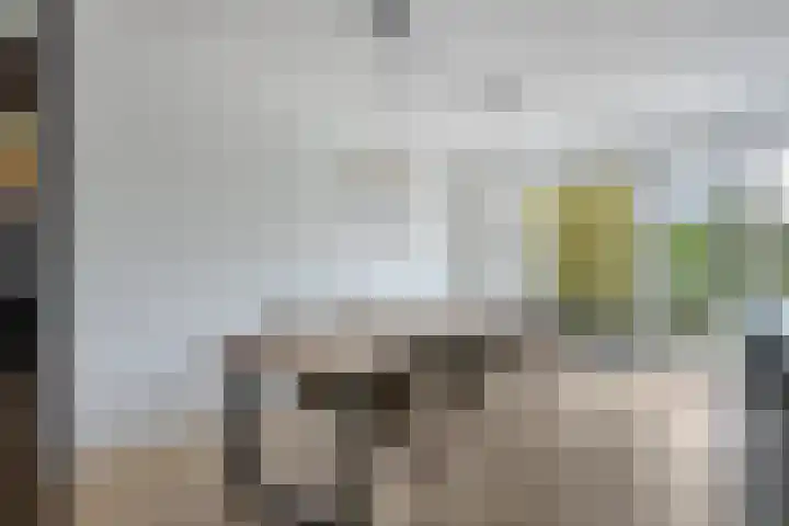 Vredemaker 28 Zwaag thumbnail 13