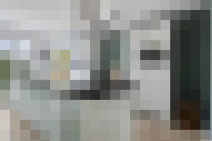 Vredemaker 28 Zwaag thumbnail 19