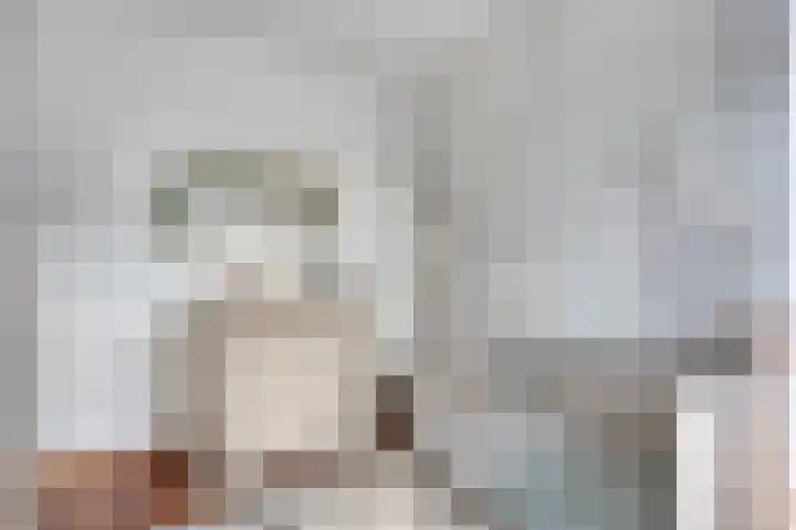 Vredemaker 28 Zwaag thumbnail 24