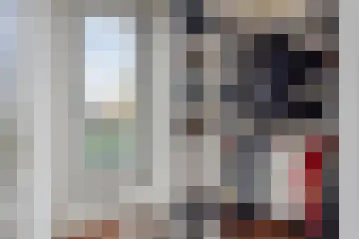 Vredemaker 28 Zwaag thumbnail 26