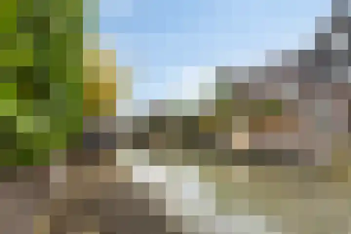 Vredemaker 28 Zwaag thumbnail 39