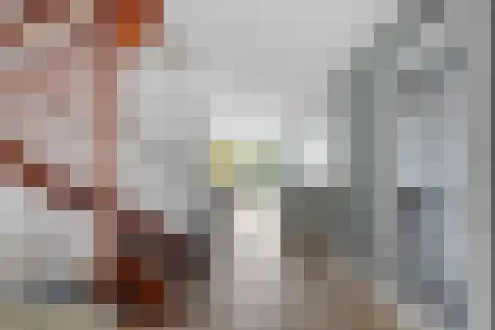 Vredemaker 28 Zwaag thumbnail 8