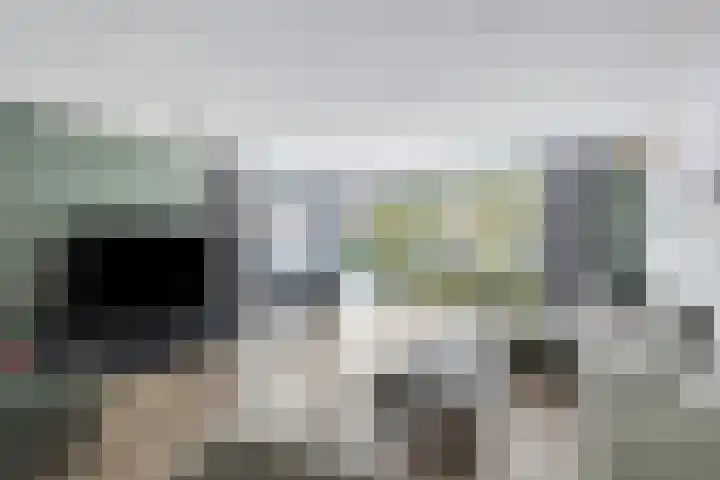 Vredemaker 28 Zwaag thumbnail 9