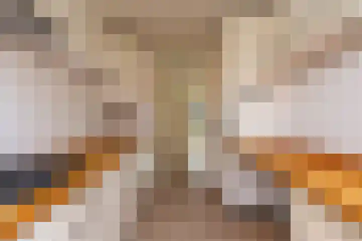 Vredenoord 101 Heiloo thumbnail 17
