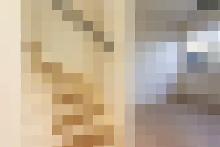 Vredenoord 101 Heiloo thumbnail 19