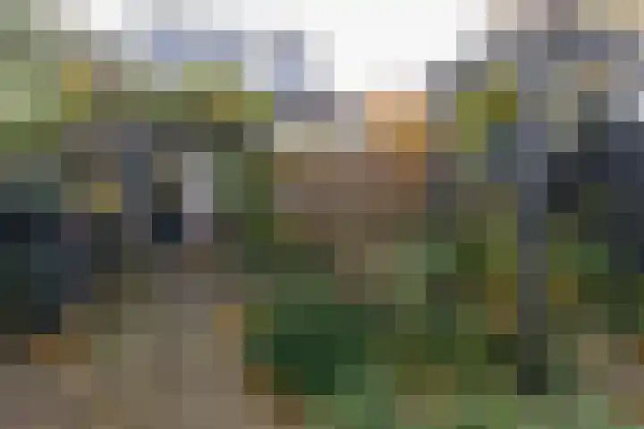 Vredenoord 101 Heiloo thumbnail 27