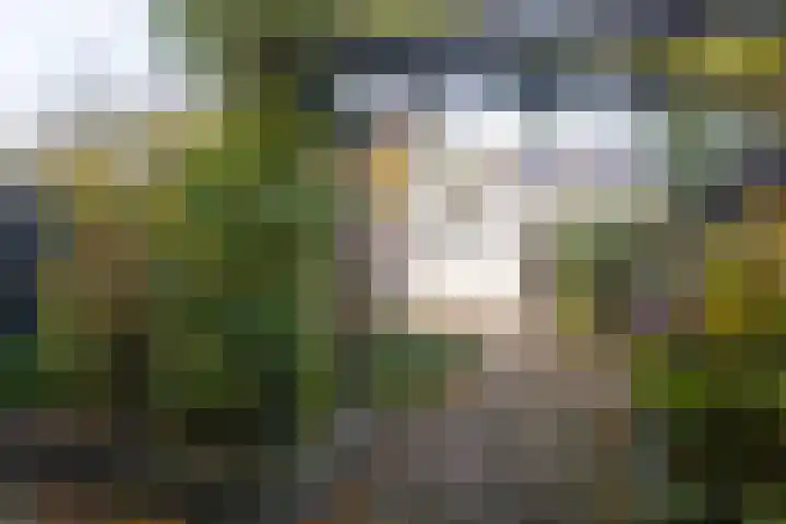 Vredenoord 101 Heiloo thumbnail 30