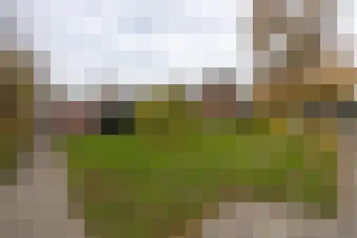 Vredenoord 101 Heiloo thumbnail 33