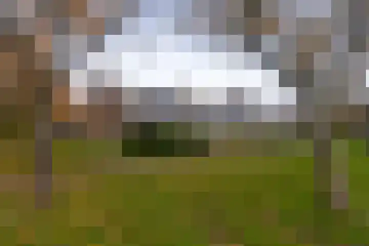 Vredenoord 101 Heiloo thumbnail 5