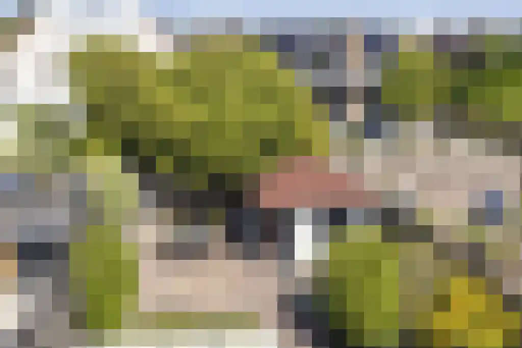 Vredenseweg 5 a Winterswijk thumbnail 44