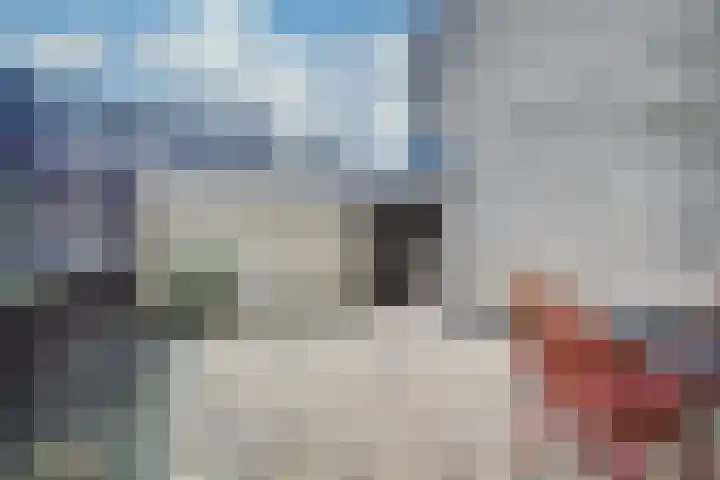 Vreebos 67 Zoetermeer thumbnail 17