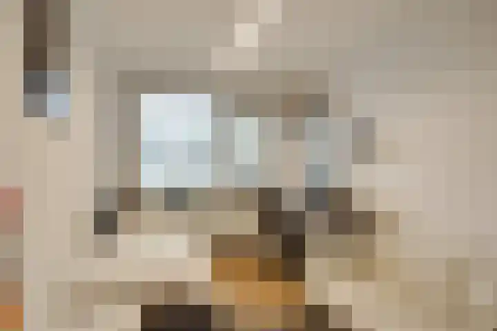 Vreebos 67 Zoetermeer thumbnail 31