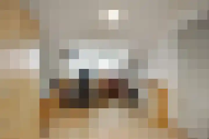 Vreebos 67 Zoetermeer thumbnail 35