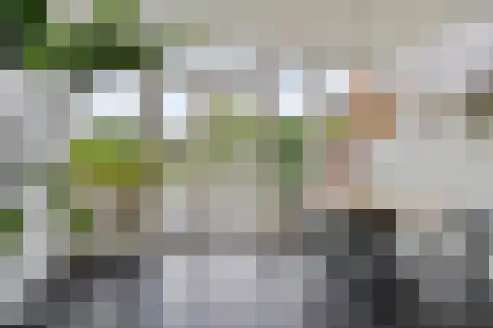 Vreesweg 9 Winterswijk thumbnail 22