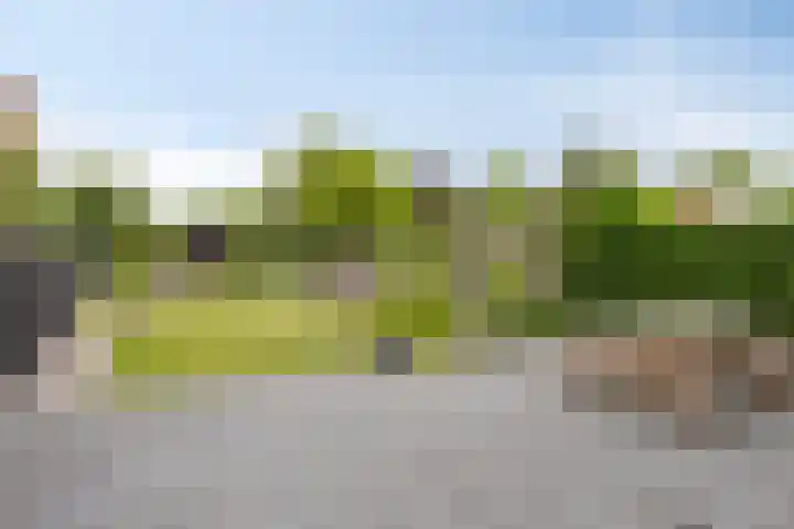 Vreesweg 9 Winterswijk thumbnail 36