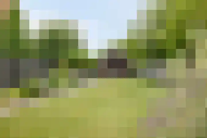 Vreesweg 9 Winterswijk thumbnail 44
