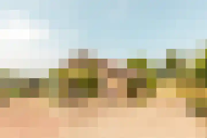 Vreeweg 51 Nunspeet thumbnail 31