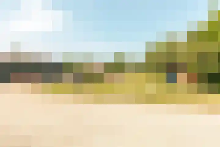 Vreeweg 51 Nunspeet thumbnail 33
