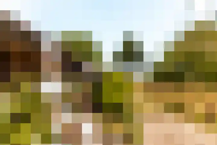 Vreeweg 51 Nunspeet thumbnail 45