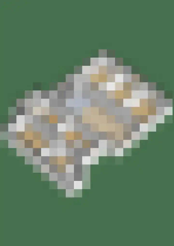Vreeweg 51 Nunspeet thumbnail 52