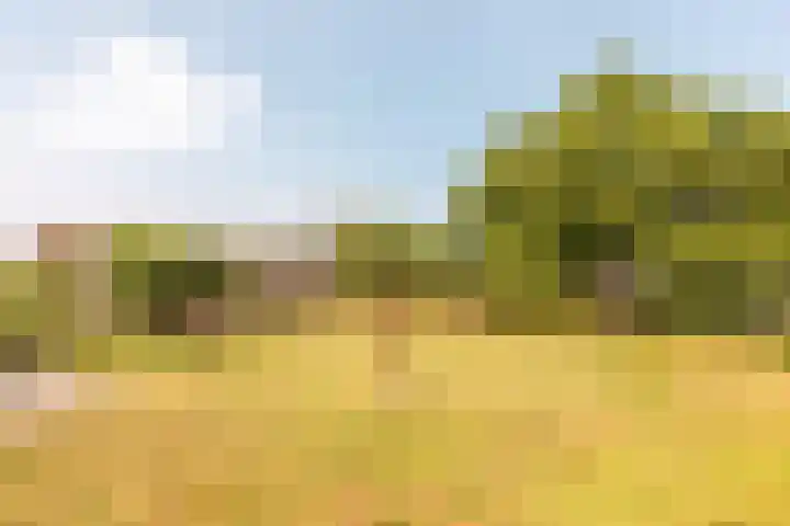 Vreeweg 51 Nunspeet thumbnail 6