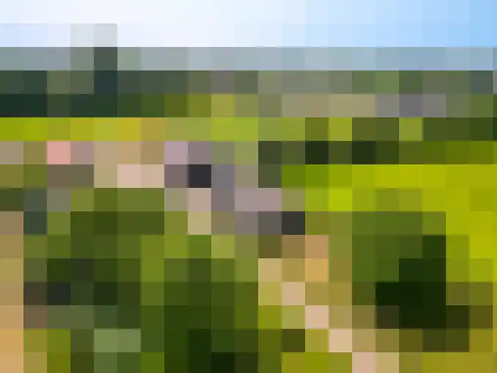 Vreeweg 51 Nunspeet thumbnail 8