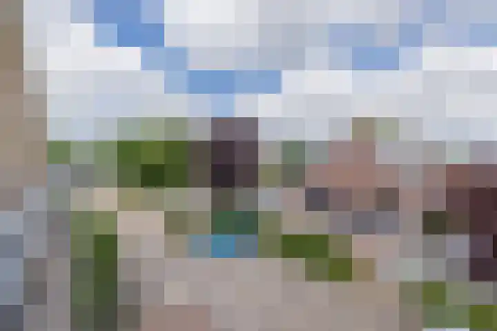 Vreewijk 2 A Lisse thumbnail 33