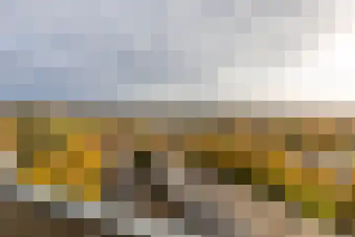 Vrieheidepark 101 Heerlen thumbnail 21