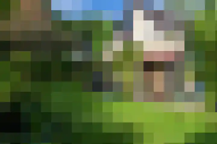 Vrielinklanden 65 Enschede thumbnail 27