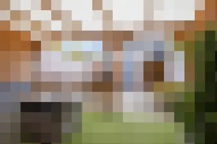 Vriesenenk 182 Elst thumbnail 17