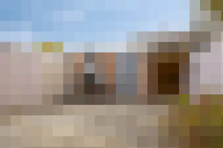 Vriesenenk 182 Elst thumbnail 20