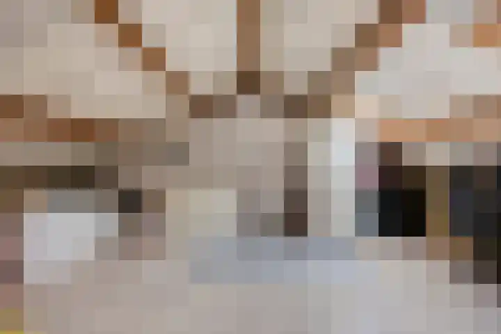 Vriesenenk 182 Elst thumbnail 34