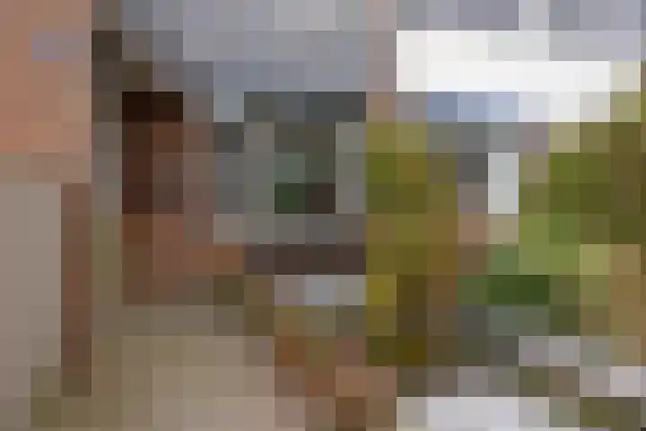 Vriesenenk 182 Elst thumbnail 6
