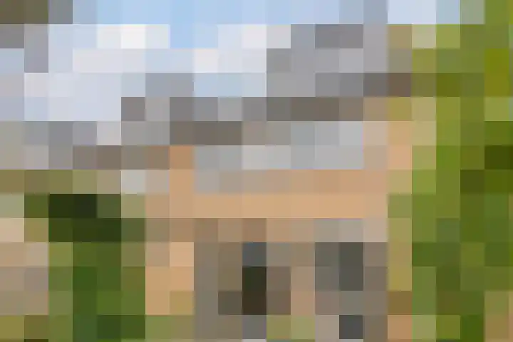 Vrieswijk 116 Heiloo thumbnail 29