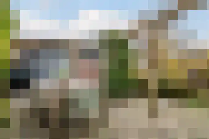 Vrieswijk 116 Heiloo thumbnail 33