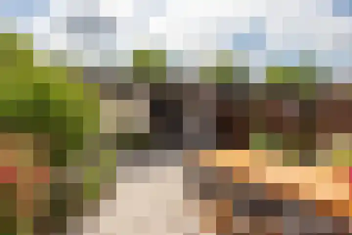 Vrieswijk 170 Heiloo thumbnail 38