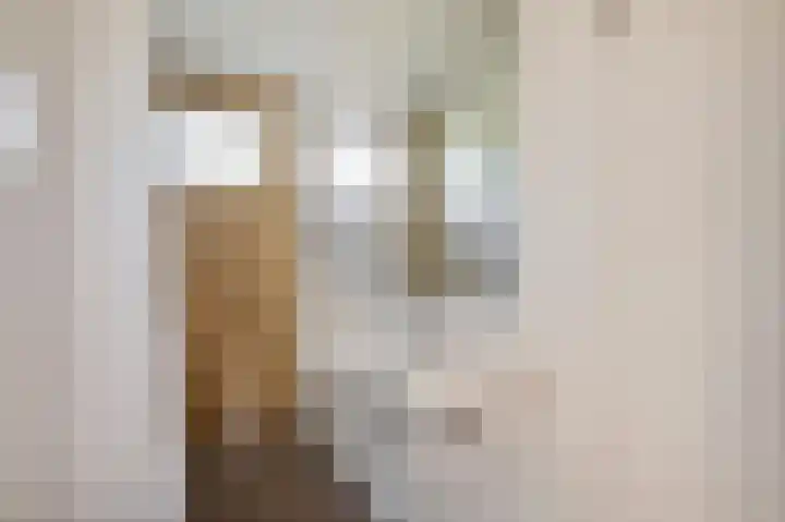 Vriezekoop 11 j R2 Leimuiden thumbnail 11