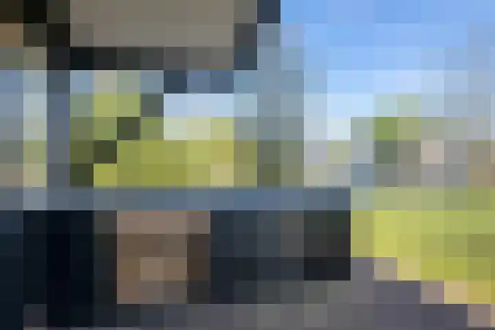 Vriezekoop 11 j R2 Leimuiden thumbnail 13