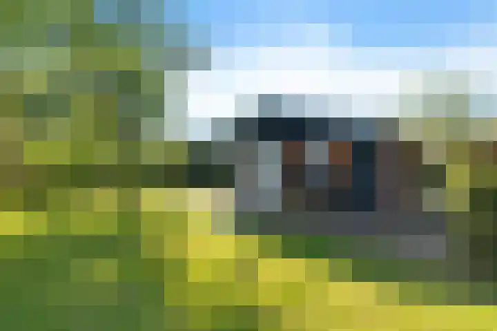 Vriezekoop 11 j R2 Leimuiden thumbnail 18