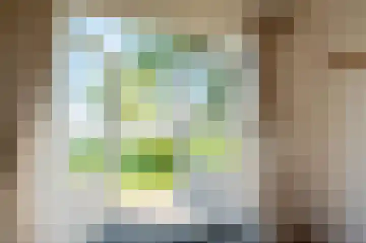 Vriezekoop 11 j R2 Leimuiden thumbnail 22