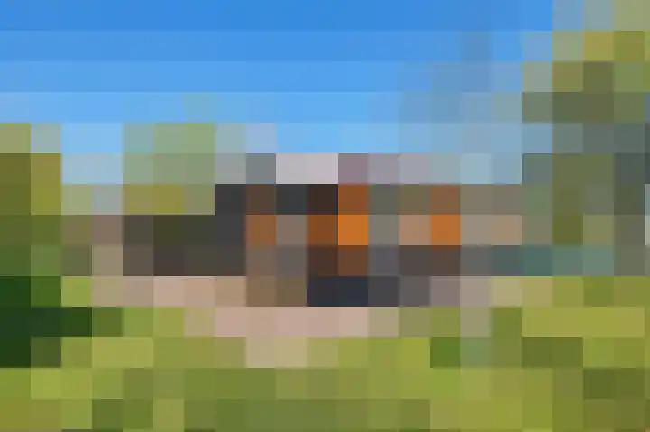 Vriezekoop 11 j R2 Leimuiden thumbnail 25