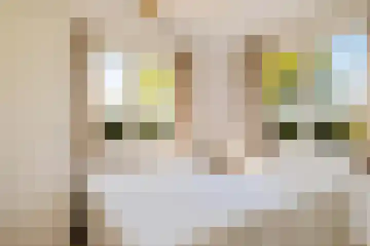 Vriezekoop 11 j R2 Leimuiden thumbnail 31